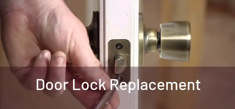 Door Lock Replacement 